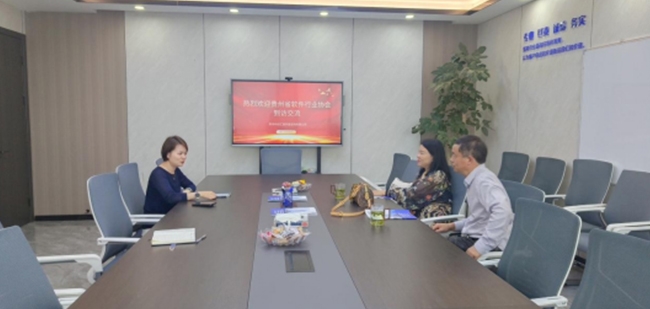 贵州软件行业协会到访林创咨询进行交流