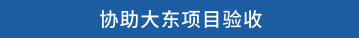 协助大东项目验收