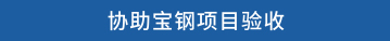 协助宝钢项目验收
