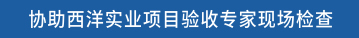协助西洋实业项目验收专家现场检查