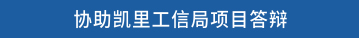 协助凯里工信局项目答辩