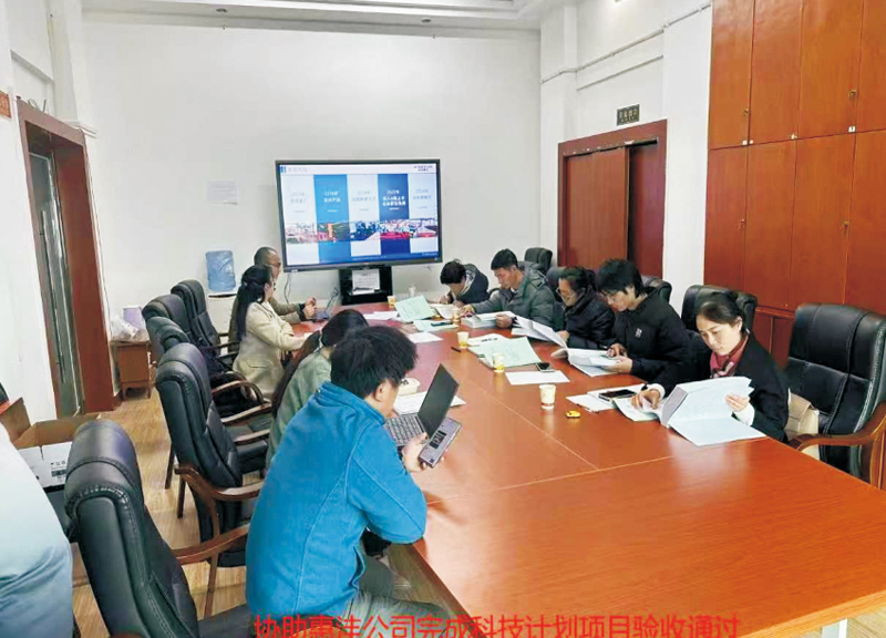 协助惠沣项目验收答辩