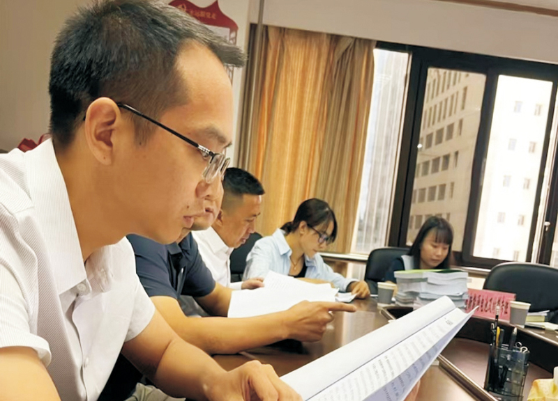 协助天美锂能新材料项目答辩