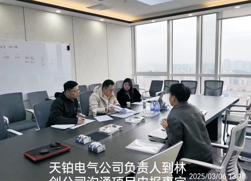 天铂电气到访林创咨询