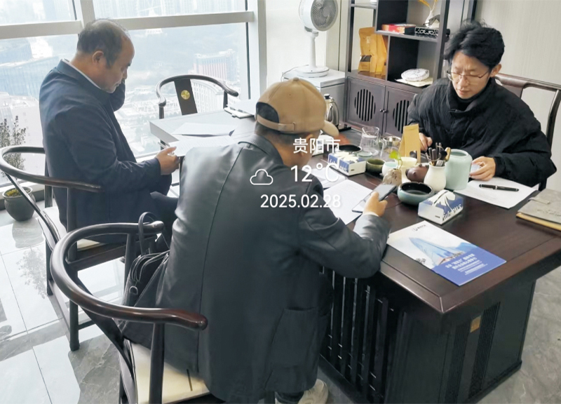 苏润新材料到访林创咨询