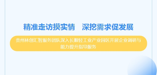 精准走访摸实情 深挖需求促发展----贵州林创汇智服务团队深入长顺轻工业产业园区开展企业调研与能力提升指导服务